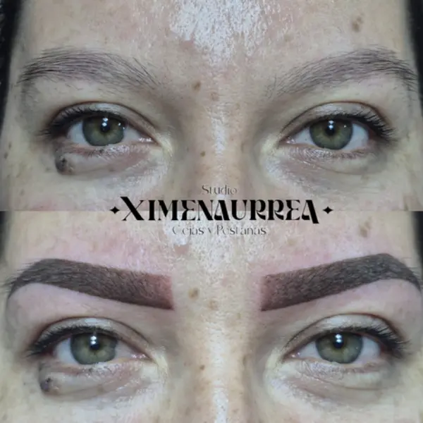 Cejas efecto polvo profesionales Aplicación profesional de cejas con micropigmentación efecto polvo