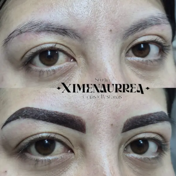 Cejas híbridas profesionales Aplicación profesional de cejas híbridas para un acabado elegante