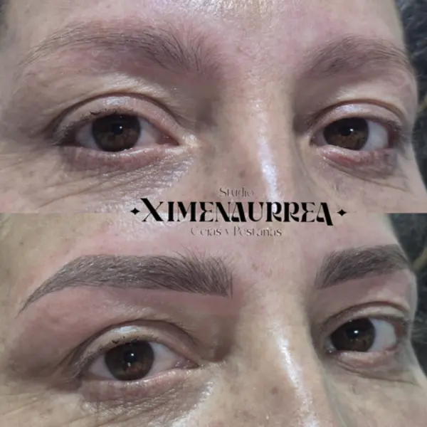 Cejas pelo a pelo profesionales Aplicación profesional de cejas micropigmentadas pelo a pelo